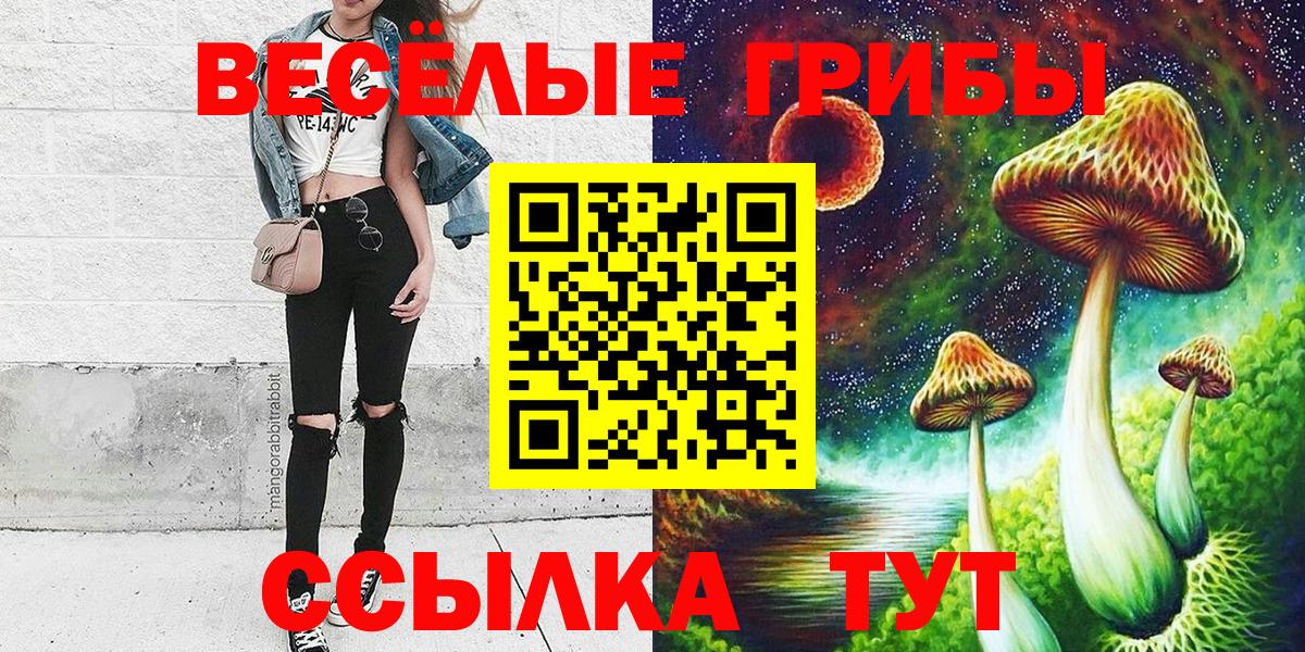Псилоцибиновые грибы мицелий Архангельск