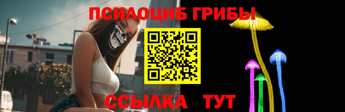 купить  цена  Галлюциногенные грибы мухоморы  Вход с VPN  Псилоцибиновые грибы мицелий  Архангельск 